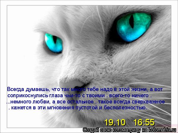Всегда думаешь, что так много тебе надо в этой жизни, а вот соприкоснулись глаза чьи-то с твоими — вс... Котоматрица: Всегда думаешь, что так много тебе надо в этой жизни, а вот соприкоснулись глаза чьи-то с твоими — всего-то ничего — ...немного любви, а все о