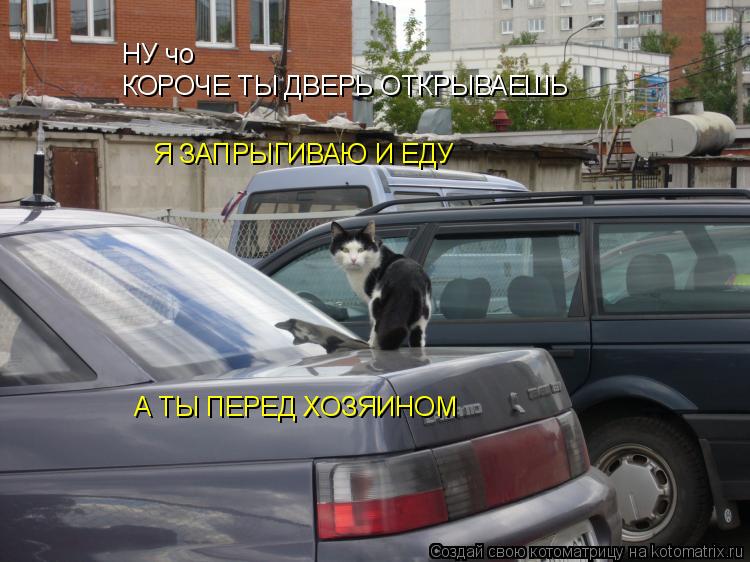 НУ чо КОРОЧЕ ТЫ ДВЕРЬ ОТКРЫВАЕШЬ Я ЗАПРЫГИВАЮ И ЕДУ А ТЫ ПЕРЕД ХОЗЯИНОМ А ТЫ ПЕРЕД ХОЗЯИНОМ... Котоматрица: НУ чо КОРОЧЕ ТЫ ДВЕРЬ ОТКРЫВАЕШЬ Я ЗАПРЫГИВАЮ И ЕДУ А ТЫ ПЕРЕД ХОЗЯИНОМ А ТЫ ПЕРЕД ХОЗЯИНОМ