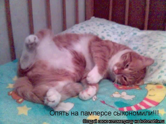 Опять на памперсе сыкономили!!!... Котоматрица: Опять на памперсе сыкономили!!!