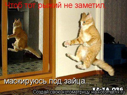 Чтоб тот рыжий не заметил, маскируюсь под зайца...... Котоматрица: Чтоб тот рыжий не заметил, маскируюсь под зайца...