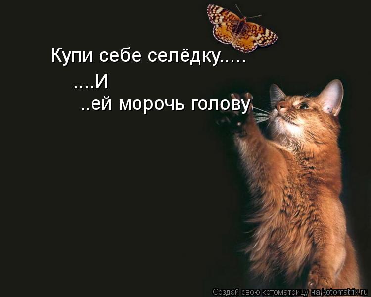 Купи себе селёдку..... ....И ..ей морочь голову... Котоматрица: Купи себе селёдку..... ....И ..ей морочь голову