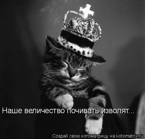 Наше величество почивать изволят...... Котоматрица: Наше величество почивать изволят...