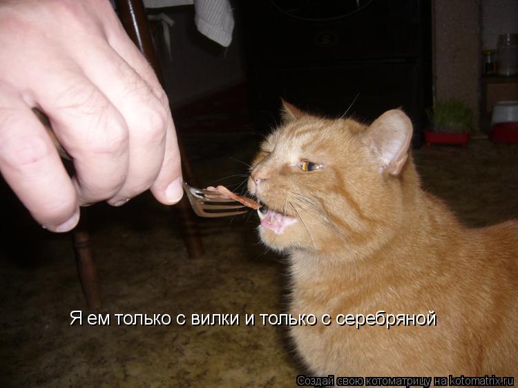 Я ем только с вилки и только с серебряной... Котоматрица: Я ем только с вилки и только с серебряной