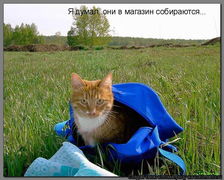 Я думал, они в магазин собираются...... Котоматрица: Я думал, они в магазин собираются...