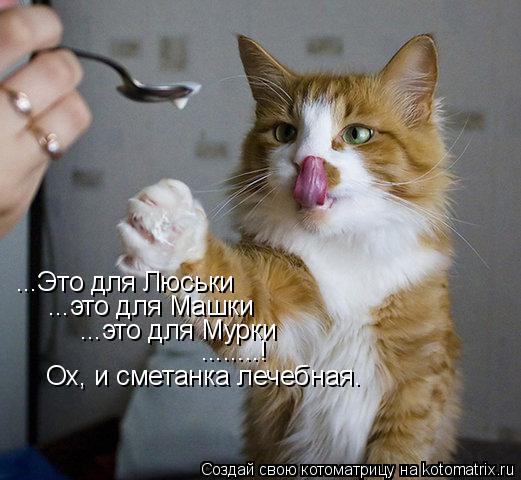...Это для Люськи ...это для Машки ...это для Мурки ........! Ох, и сметанка лечебная.... Котоматрица: ...Это для Люськи ...это для Машки ...это для Мурки ........! Ох, и сметанка лечебная.