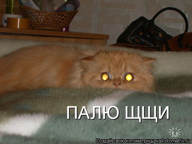 ПАЛЮ ЩЩИ... Котоматрица: ПАЛЮ ЩЩИ