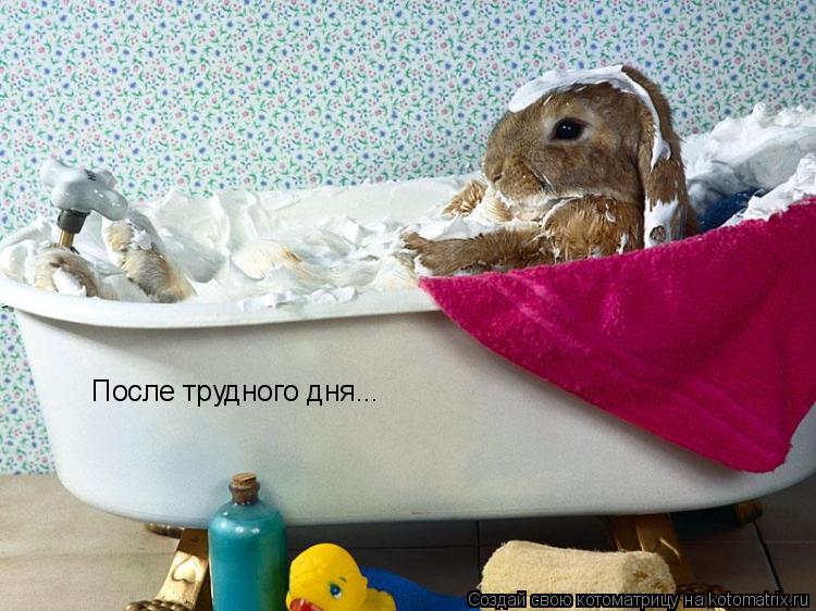 После трудного дня...... Котоматрица: После трудного дня...