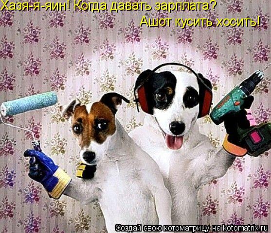Хазя-я-яин! Когда давать зарплата? Ашот кусить хосить!... Котоматрица: Хазя-я-яин! Когда давать зарплата? Ашот кусить хосить!
