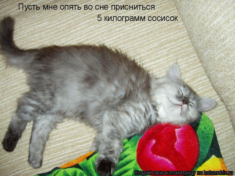 5 килограмм сосисок Пусть мне опять во сне присниться... Котоматрица: 5 килограмм сосисок Пусть мне опять во сне присниться