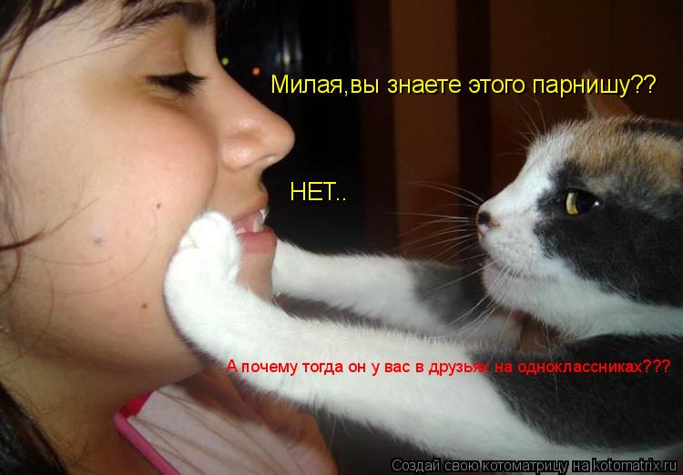 Милая,вы знаете этого парнишу?? НЕТ.. А почему тогда он у вас в друзьях на одноклассниках???... Котоматрица: Милая,вы знаете этого парнишу?? НЕТ.. А почему тогда он у вас в друзьях на одноклассниках???