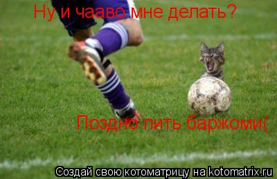 Ну и чааво мне делать? Поздно пить баржоми(... Котоматрица: Ну и чааво мне делать? Поздно пить баржоми(