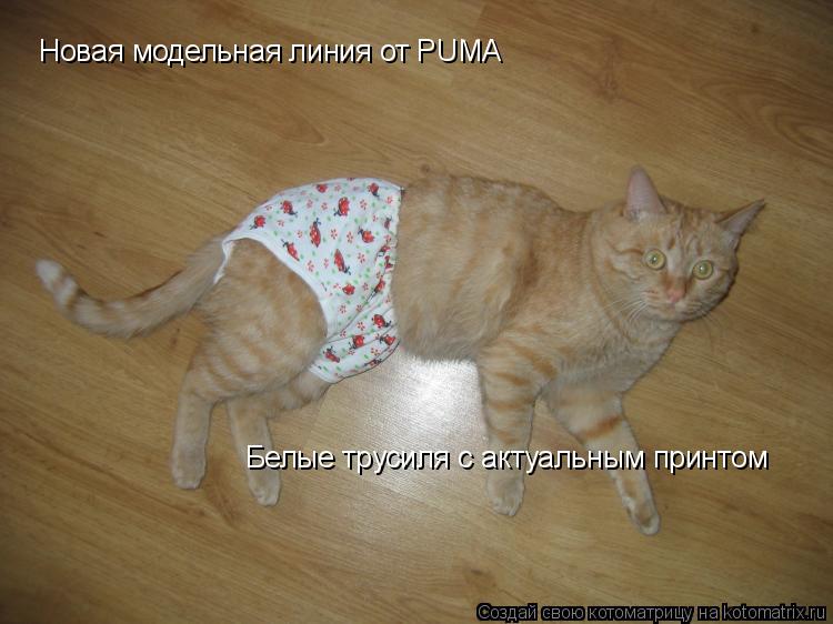 Новая модельная линия от PUMA Белые трусиля с актуальным принтом... Котоматрица: Новая модельная линия от PUMA Белые трусиля с актуальным принтом