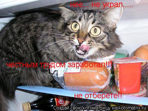 нее... не украл..... честным трудом заработал!!! не отберете!!... Котоматрица: нее... не украл..... честным трудом заработал!!! не отберете!!
