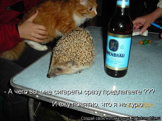 - А чего вы мне сигареты сразу предлагаете ??? И ежу понятно, что я не курю ...... Котоматрица: - А чего вы мне сигареты сразу предлагаете ??? И ежу понятно, что я не курю ...