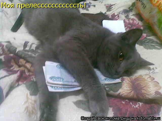 Моя прелесссссссссссть!... Котоматрица: Моя прелесссссссссссть!
