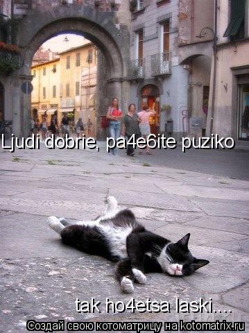 Ljudi dobrie, pa4e6ite puziko tak ho4etsa laski....... Котоматрица: Ljudi dobrie, pa4e6ite puziko tak ho4etsa laski....