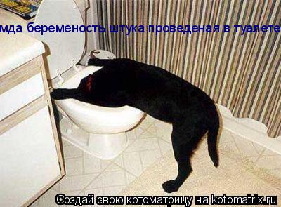 мда беременость штука проведеная в туалете... Котоматрица: мда беременость штука проведеная в туалете