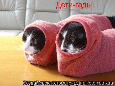 Дети-гады...... Котоматрица: Дети-гады...