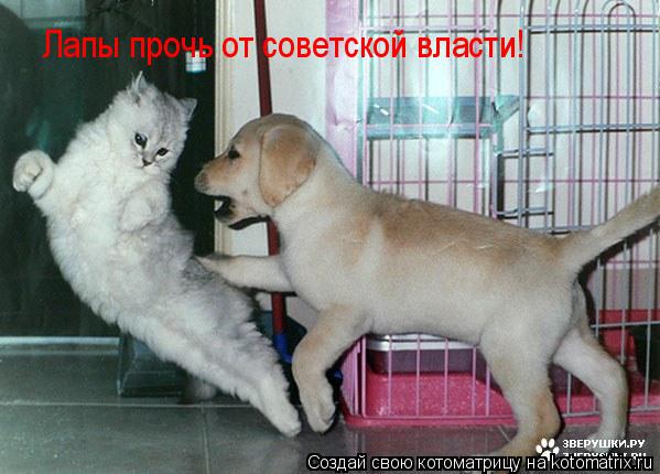 Лапы прочь от советской власти!... Котоматрица: Лапы прочь от советской власти!