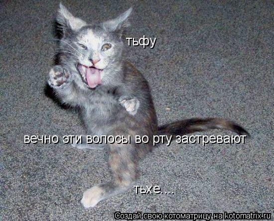 тьфу вечно эти волосы во рту застревают тьхе....... Котоматрица: тьфу вечно эти волосы во рту застревают тьхе....