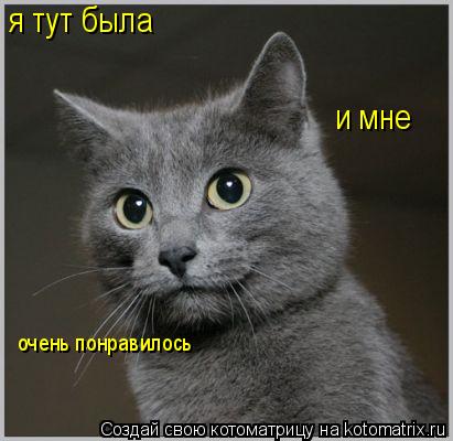 я тут была и мне очень понравилось... Котоматрица: я тут была и мне очень понравилось