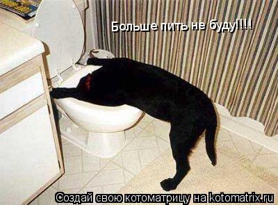 Больше пить не буду!!!!... Котоматрица: Больше пить не буду!!!!