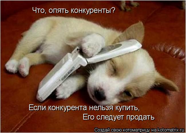 Что, опять конкуренты? Если конкурента нельзя купить, Его следует продать... Котоматрица: Что, опять конкуренты? Если конкурента нельзя купить, Его следует продать
