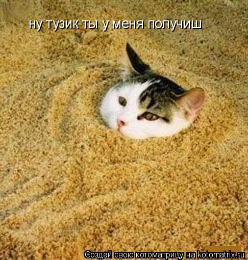 ну тузик ты у меня получиш... Котоматрица: ну тузик ты у меня получиш