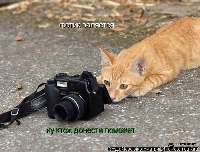 фотик валяется ну ктож донести поможет... Котоматрица: фотик валяется ну ктож донести поможет