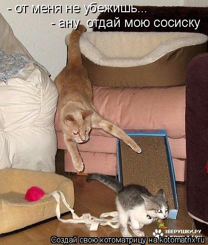 - от меня не убежишь... - ану отдай мою сосиску... Котоматрица: - от меня не убежишь... - ану отдай мою сосиску