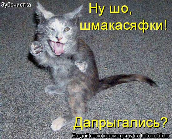Зубочистка Ну шо, шмакасяфки! Дапрыгались?... Котоматрица: Зубочистка Ну шо, шмакасяфки! Дапрыгались?