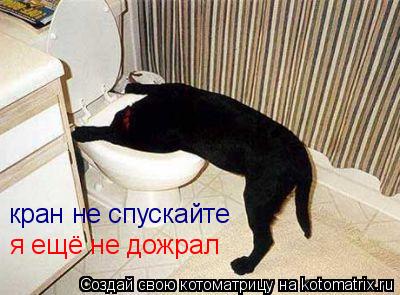 кран не спускайте я ещё не дожрал... Котоматрица: кран не спускайте я ещё не дожрал