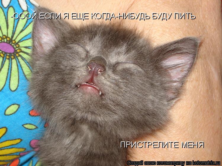 -ОООЙ.ЕСЛИ Я ЕЩЕ КОГДА-НИБУДЬ БУДУ ПИТЬ ПРИСТРЕЛИТЕ МЕНЯ... Котоматрица: -ОООЙ.ЕСЛИ Я ЕЩЕ КОГДА-НИБУДЬ БУДУ ПИТЬ ПРИСТРЕЛИТЕ МЕНЯ
