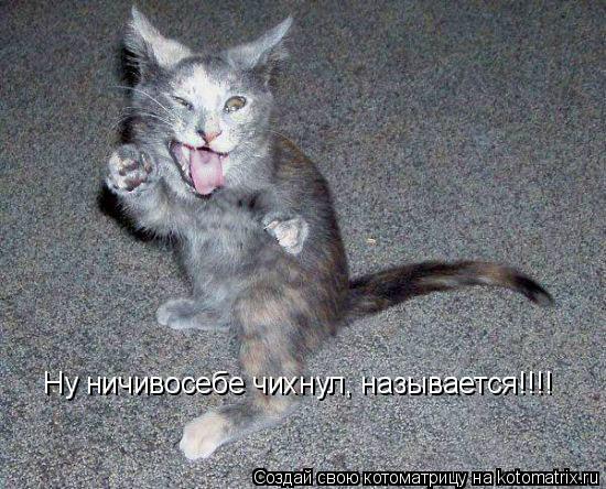 Ну ничивосебе чихнул, называется!!!!... Котоматрица: Ну ничивосебе чихнул, называется!!!!
