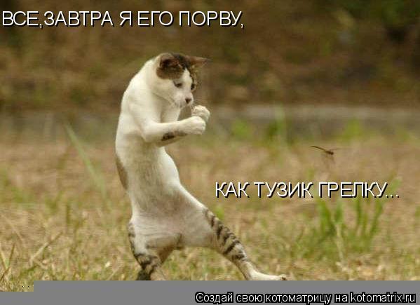 ВСЕ,ЗАВТРА Я ЕГО ПОРВУ, КАК ТУЗИК ГРЕЛКУ...... Котоматрица: ВСЕ,ЗАВТРА Я ЕГО ПОРВУ, КАК ТУЗИК ГРЕЛКУ...