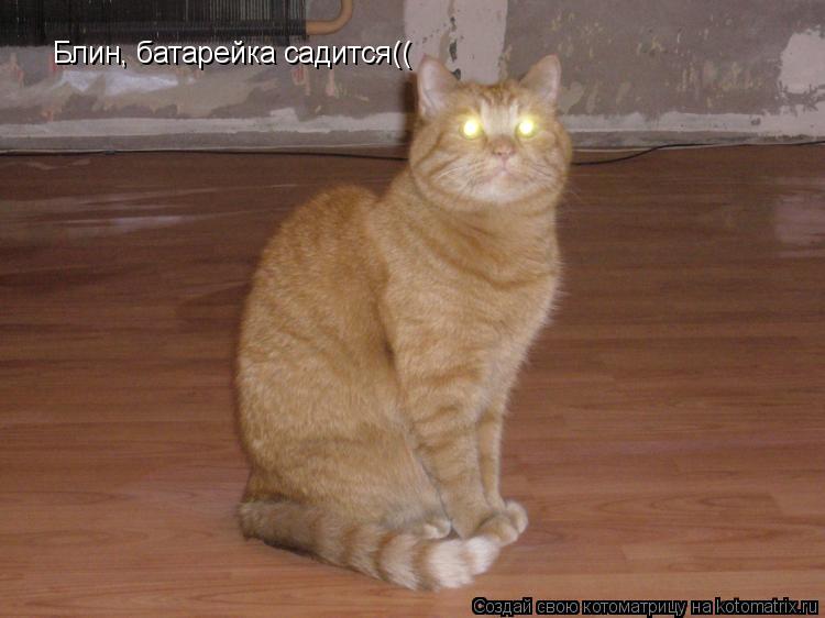 Блин, батарейка садится((... Котоматрица: Блин, батарейка садится((