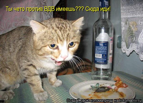 Ты чето против ВДВ имеешь??? Сюда иди!... Котоматрица: Ты чето против ВДВ имеешь??? Сюда иди!
