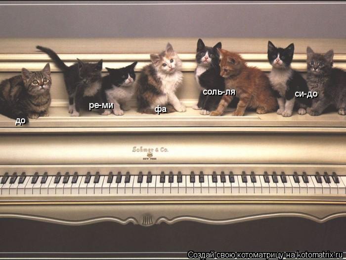 до фа ре-ми соль-ля си-до... Котоматрица: до фа ре-ми соль-ля си-до