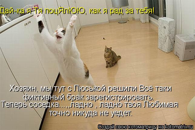 Хозяин, мы тут с Люськой решили Всё таки фиктивный брак зарегистрировать. Теперь соседка...,,ладно , ... Котоматрица: Хозяин, мы тут с Люськой решили Всё таки фиктивный брак зарегистрировать. Теперь соседка...,,ладно , ладно твоя Любимая точно никуда не уедет.