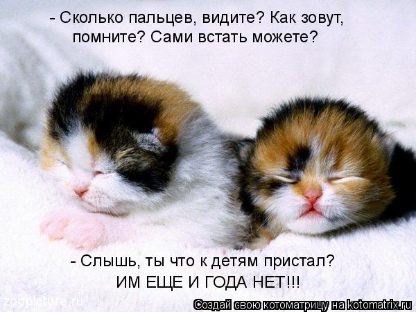- Сколько пальцев, видите? Как зовут, помните? Сами встать можете? - Слышь, ты что к детям пристал? И... Котоматрица: - Сколько пальцев, видите? Как зовут, помните? Сами встать можете? - Слышь, ты что к детям пристал? ИМ ЕЩЕ И ГОДА НЕТ!!!