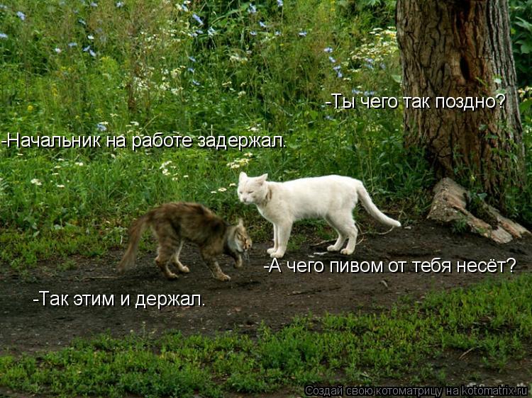 -Ты чего так поздно? -Начальник на работе задержал. -А чего пивом от тебя несёт? -Так этим и держал.... Котоматрица: -Ты чего так поздно? -Начальник на работе задержал. -А чего пивом от тебя несёт? -Так этим и держал.