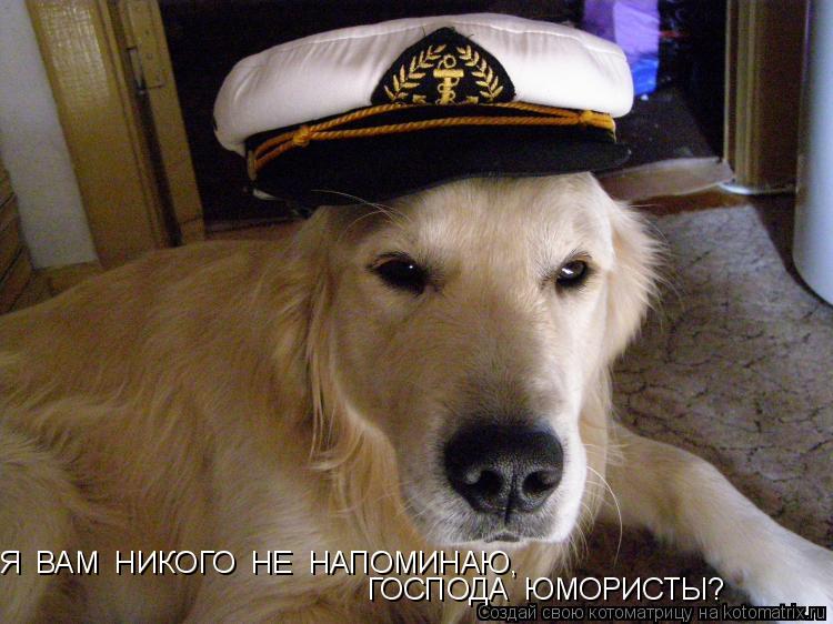 Я ВАМ НИКОГО НЕ НАПОМИНАЮ, ГОСПОДА ЮМОРИСТЫ?... Котоматрица: Я ВАМ НИКОГО НЕ НАПОМИНАЮ, ГОСПОДА ЮМОРИСТЫ?