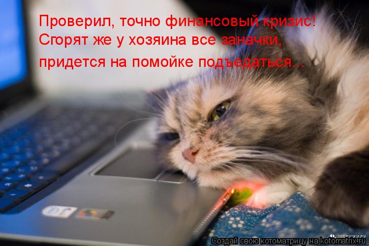 Котоматрица: Проверил, точно финансовый кризис! придется на помойке подъедаться... Сгорят же у хозяина все заначки,