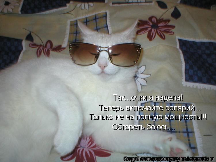 Так...очки я надела! Теперь включайте солярий... Обгореть боюсь... Только не на полную мощность!!!... Котоматрица: Так...очки я надела! Теперь включайте солярий... Обгореть боюсь... Только не на полную мощность!!!