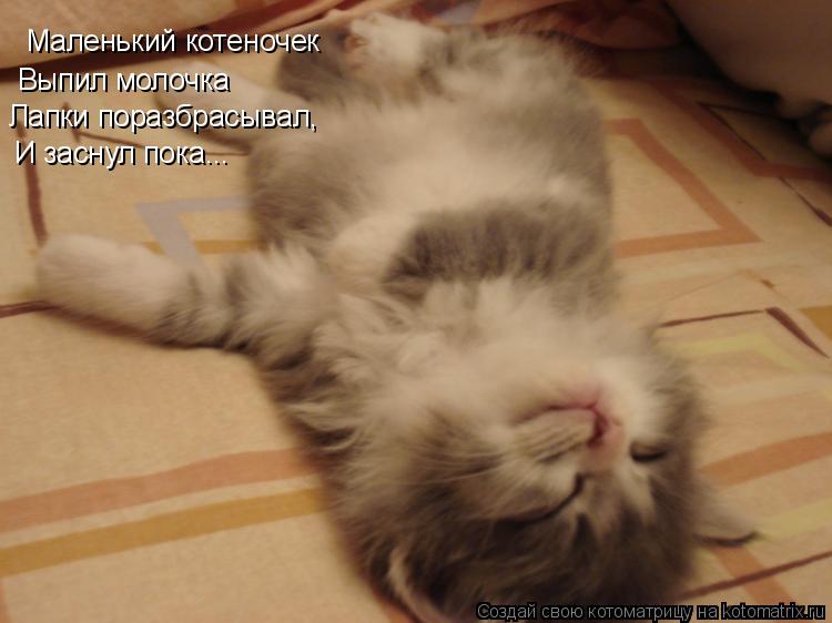 Маленький котеночек Выпил молочка Лапки поразбрасывал, И заснул пока...... Котоматрица: Маленький котеночек Выпил молочка Лапки поразбрасывал, И заснул пока...