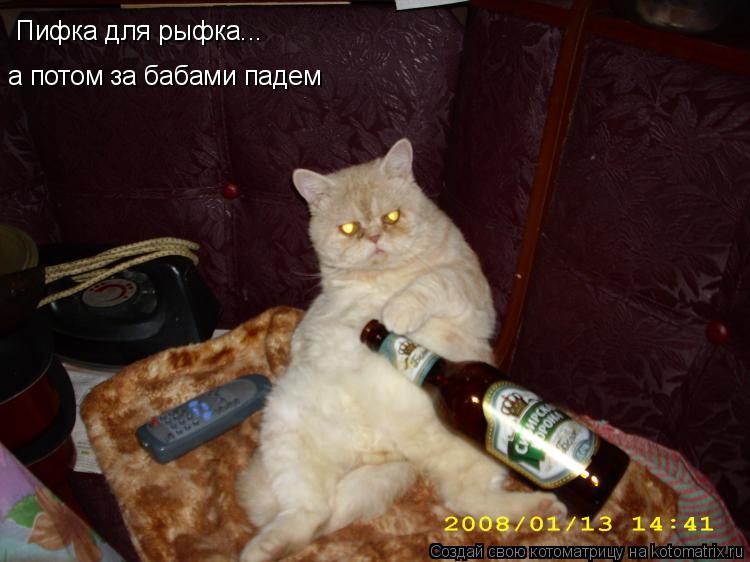 Пифка для рыфка... а потом за бабами падем... Котоматрица: Пифка для рыфка... а потом за бабами падем
