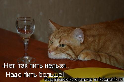 Надо пить больше! -Нет, так пить нельзя...... Котоматрица: Надо пить больше! -Нет, так пить нельзя...