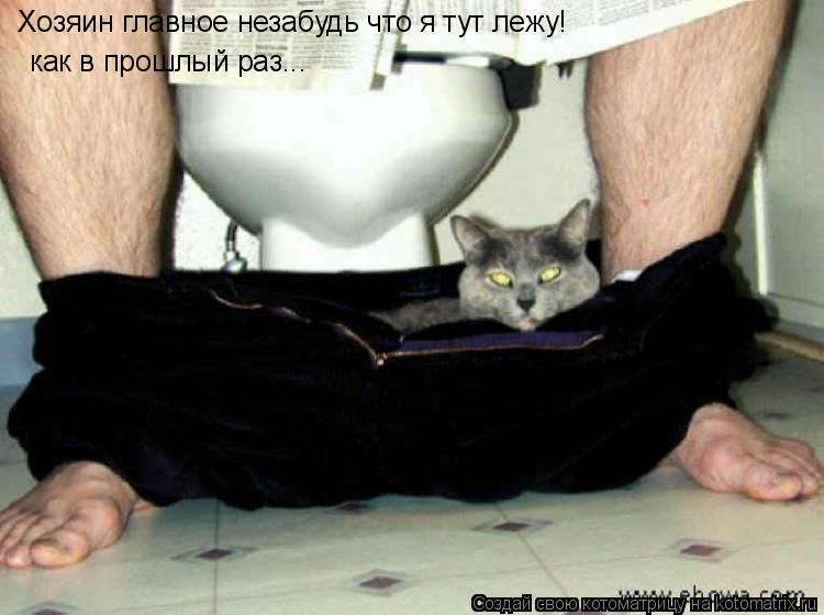 Хозяин главное незабудь что я тут лежу! как в прошлый раз...... Котоматрица: Хозяин главное незабудь что я тут лежу! как в прошлый раз...
