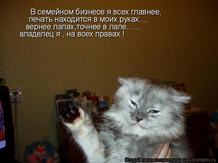В семейном бизнесе я всех главнее, печать находится в моих руках..., вернее лапах,точнее в лапе.....,... Котоматрица: В семейном бизнесе я всех главнее, печать находится в моих руках..., вернее лапах,точнее в лапе....., владелец я , на всех правах.!