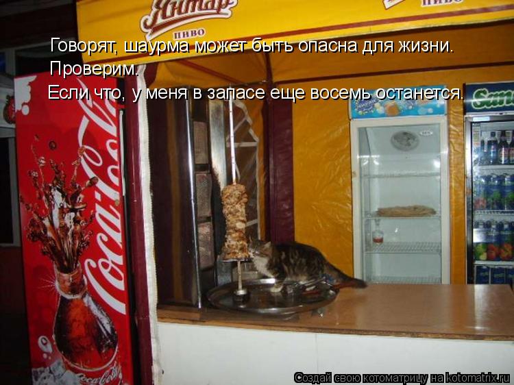 Говорят, шаурма может быть опасна для жизни. Проверим. Если что, у меня в запасе еще восемь останется... Котоматрица: Говорят, шаурма может быть опасна для жизни. Проверим. Если что, у меня в запасе еще восемь останется.